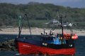 Fishing boat Pwllheli.jpg