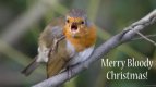 merrybloody.jpg
