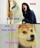 doge-meme.jpg