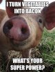 i-turn-vegetables-into-bacon-whats-your-super-power-pig-meme.jpg