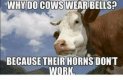 cows.jpg