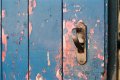 blue door.jpg