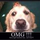 omg.jpg omg.jpg