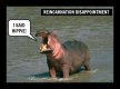 hippo.jpg
