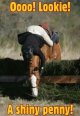 penny.jpg