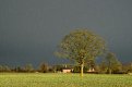 Middleton rain-02833.jpg