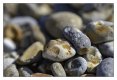 Pebbles.jpg