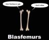blasfemurs.jpg