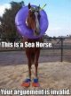 seahorse.jpg seahorse.jpg