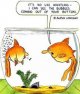 fish-bubbles-joke.jpg