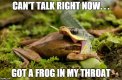 frog.jpg
