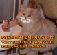 shaving-the-cat-big.jpg