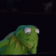 Kermit_Facepalm.gif Kermit_Facepalm.gif