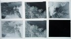 Rollei IR400 Test Negs s.jpg