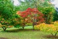 Westonbirt-5.jpg