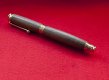 Fountain Pen Dark wood  2.JPG