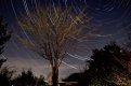 Startrail edited.jpg