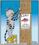 lost.jpg