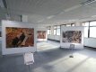 Wildlife photography exhibition at Winslade Park DSC01097.JPG