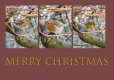 Xmas Robin 2020 Tryptic copy.jpg