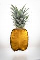 Week 01 Pineapple Cross Section.jpg Week 01 Pineapple Cross Section.jpg