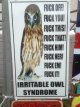 irritableowl.JPG