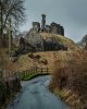 Okehampton Castle 1-3644 PS Adj.jpg