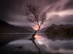 Lone Tree of Snowdonia Dawn Shot.jpg Lone Tree of Snowdonia Dawn Shot.jpg