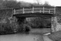 Bridge 111.JPG