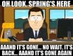 spring.jpg