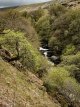 Meldon West Okement Waterfalls 01-4217 PS Adj.jpg