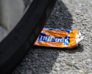 Week 27 - Indiginous - NZA_2616.jpg