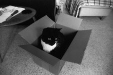 Packed and Ready to Go.JPG