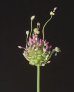 _7501912.jpg _7501912.jpg