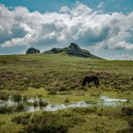 025 Haytor from the North 02-4733 PS Adj.jpg