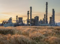 Week 28 - Plant Tech HDR.jpg