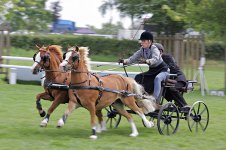 scurry_3997.jpg scurry_3997.jpg