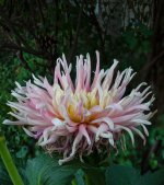 July 18-21 (1 of 1).jpg