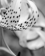 July 18-21 (1 of 2).jpg