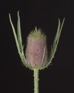 _7502061.jpg _7502061.jpg