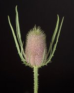 _7502088.jpg _7502088.jpg