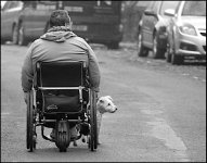 Wheelchair in the middle of the road with dog Exeter P1011816.JPG Wheelchair in the middle of the road with dog Exeter P1011816.JPG