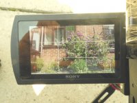 P1040384.JPG P1040384.JPG