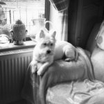 Untitled-18 copy.jpg Untitled-18 copy.jpg