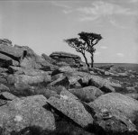 07-36370007 PS Adj.jpg