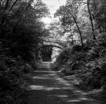 05-36370005 PS Adj.jpg