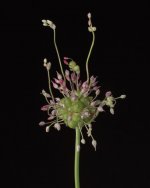 _7502289.jpg _7502289.jpg