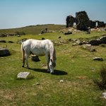 046 Foggintor Quarries Ruins 02-4846 PS Adj.jpg