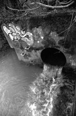 Outflow.JPG Outflow.JPG