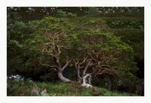 gleann bianasdale.jpg